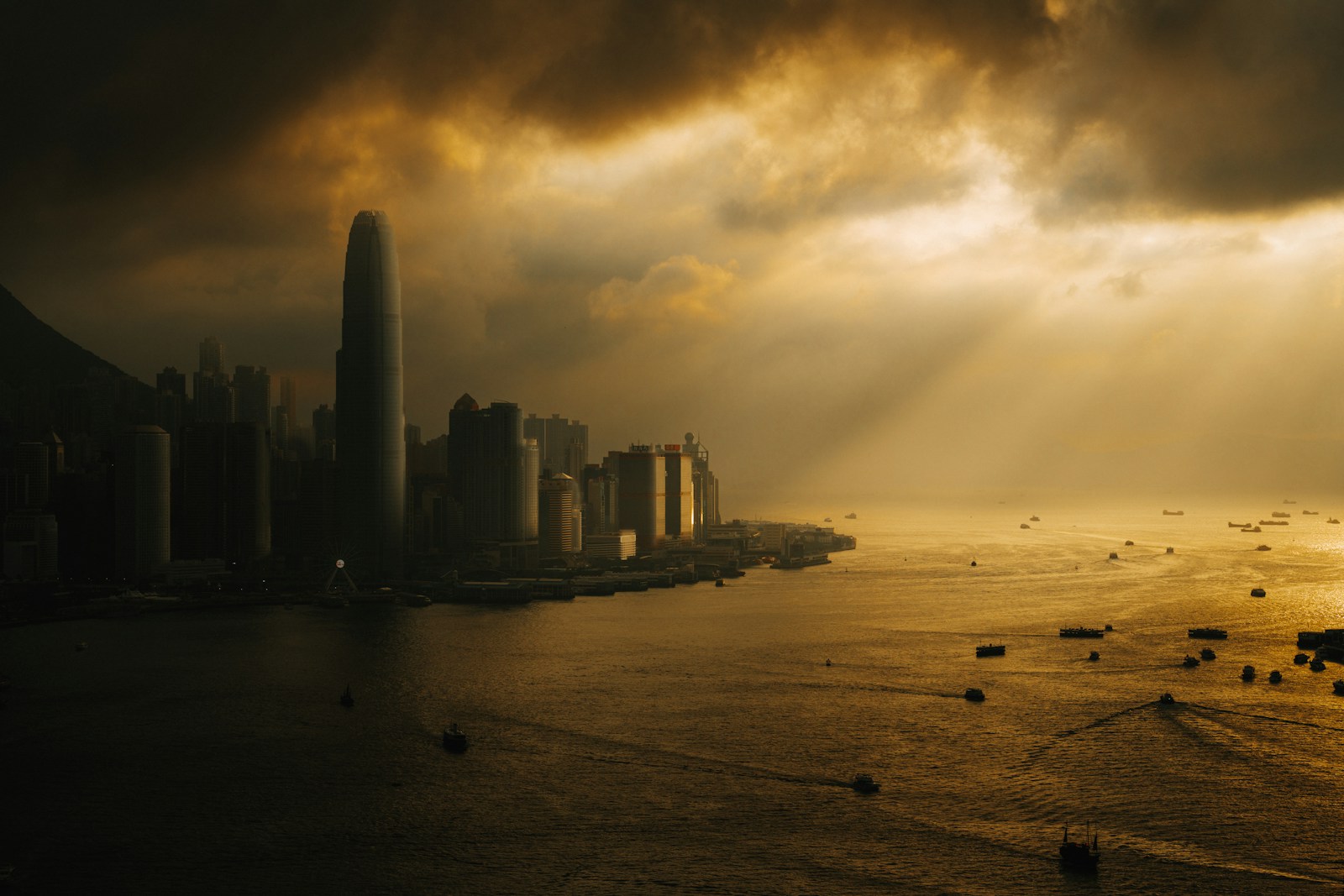 Golden light shines on a city by the water.